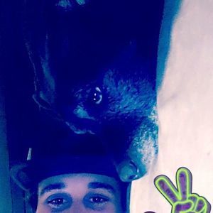 Meet your Posher, Paul